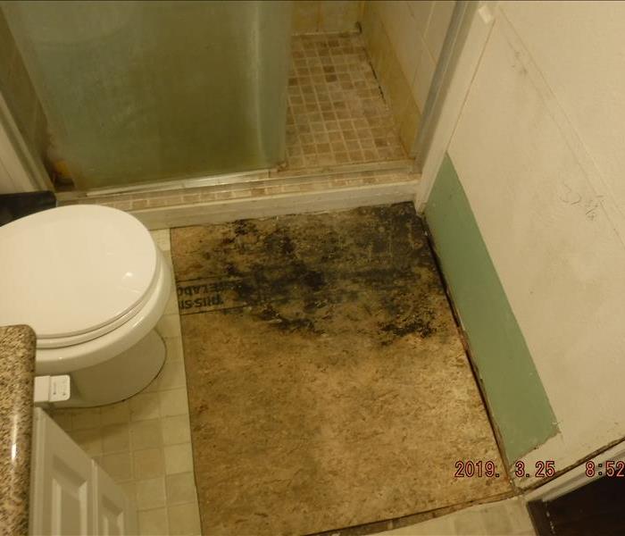 Floor with large black mold spot