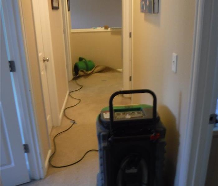 Hallway, carpet and green equipment 